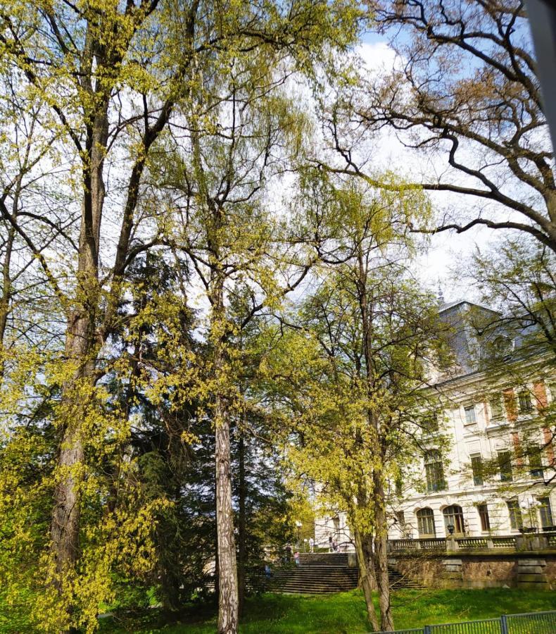 Przy Zamku Apartment Pszczyna